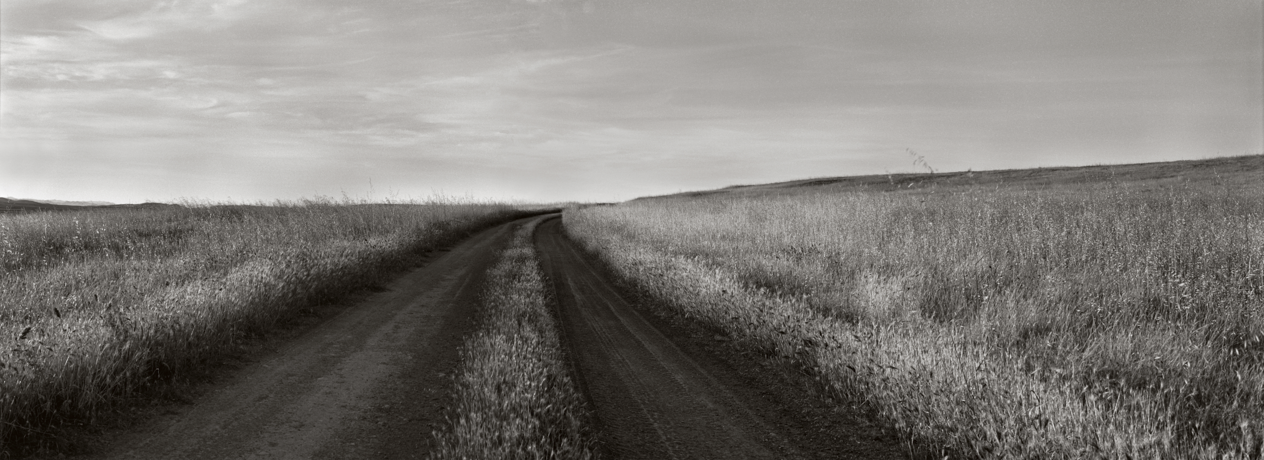 BELA_Landscape_2020_4
